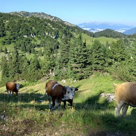 Gross Lettenwag Apartmán