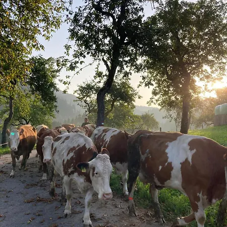 Gross Lettenwag Διαμέρισμα