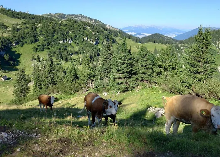 Gross Lettenwag Διαμέρισμα