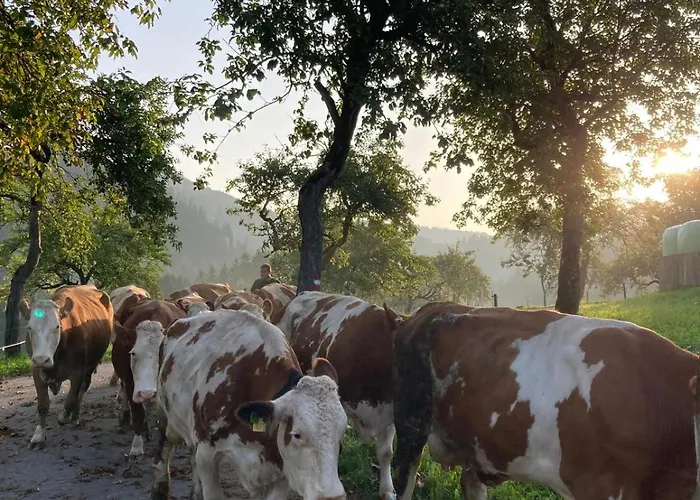 Gross Lettenwag Apartman