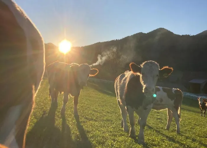 Gross Lettenwag Διαμέρισμα